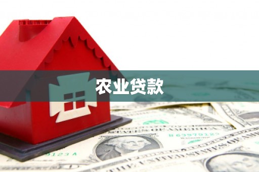 白沙农业贷款