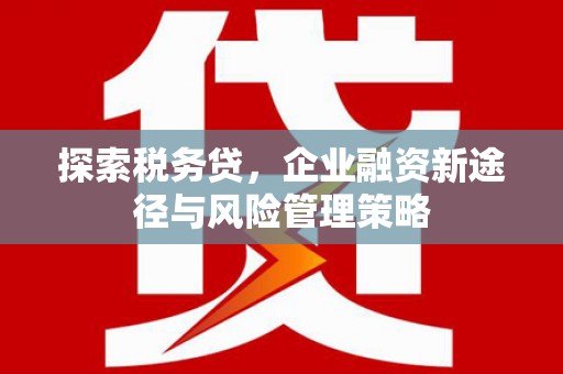 白沙探索税务贷，企业融资新途径与风险管理策略