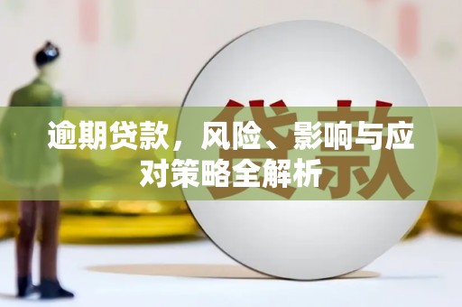 白沙逾期贷款，风险、影响与应对策略全解析
