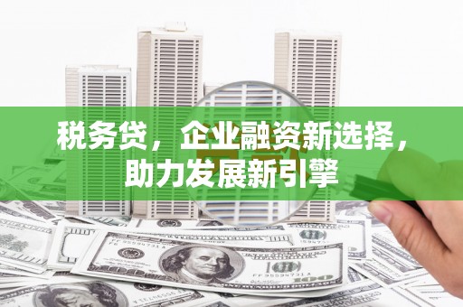白沙税务贷，企业融资新选择，助力发展新引擎