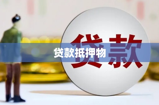 白沙贷款抵押物