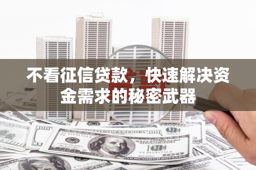 白沙不看征信贷款，快速解决资金需求的秘密武器