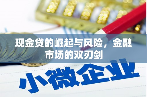 白沙现金贷的崛起与风险，金融市场的双刃剑