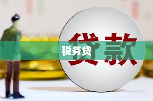 白沙税务贷