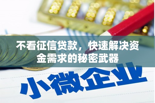 白沙不看征信贷款，快速解决资金需求的秘密武器