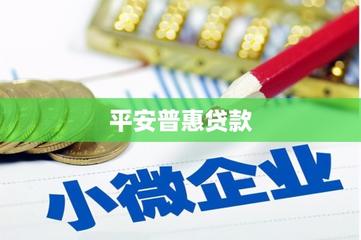 白沙平安普惠贷款