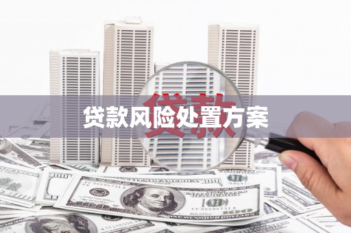 白沙贷款风险处置方案