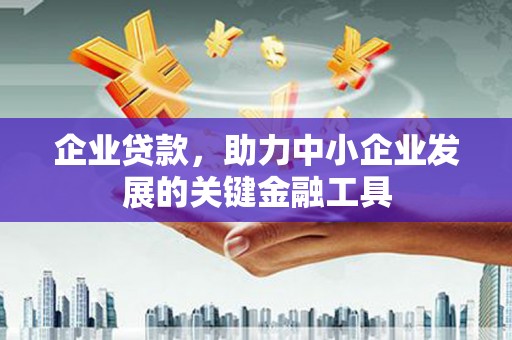 白沙企业贷款，助力中小企业发展的关键金融工具