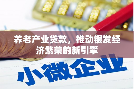 白沙养老产业贷款，推动银发经济繁荣的新引擎