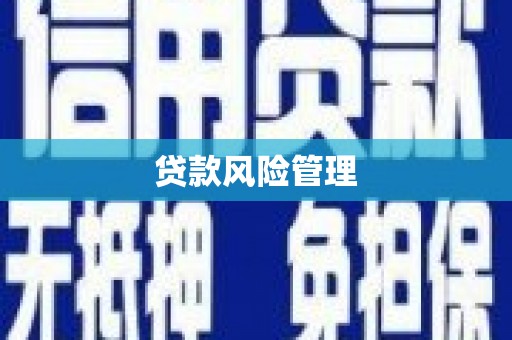 白沙贷款风险管理