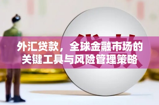 白沙外汇贷款，全球金融市场的关键工具与风险管理策略