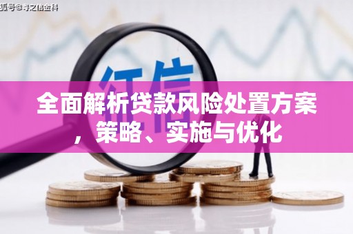 白沙全面解析贷款风险处置方案，策略、实施与优化