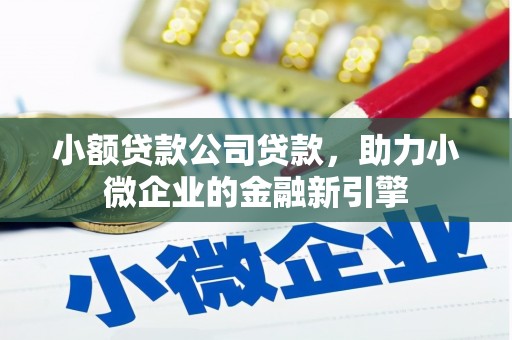 白沙小额贷款公司贷款，助力小微企业的金融新引擎