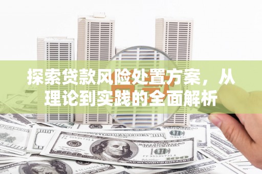 白沙探索贷款风险处置方案，从理论到实践的全面解析