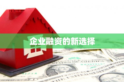 白沙企业融资的新选择