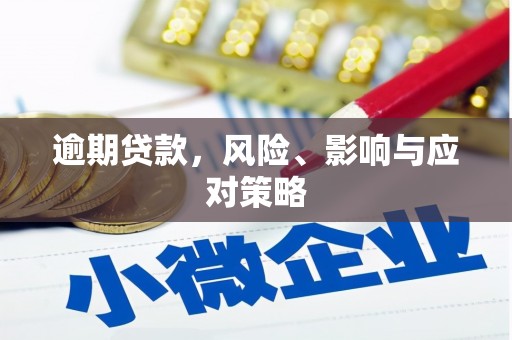 白沙逾期贷款，风险、影响与应对策略