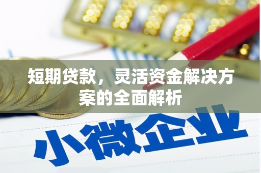 白沙短期贷款，灵活资金解决方案的全面解析