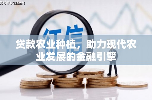 白沙贷款农业种植，助力现代农业发展的金融引擎