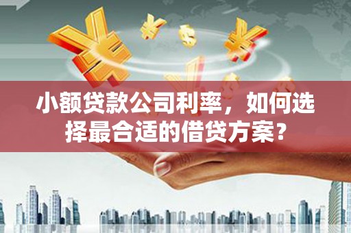 白沙小额贷款公司利率，如何选择最合适的借贷方案？