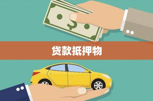 白沙贷款抵押物