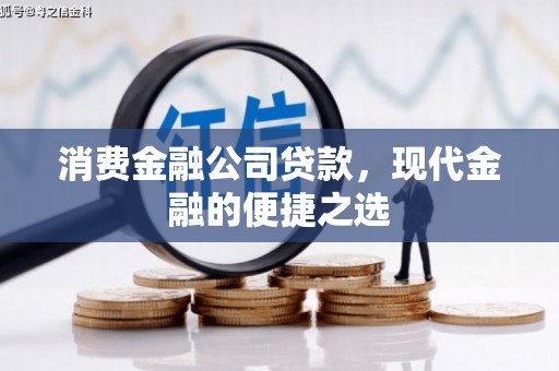 白沙消费金融公司贷款，现代金融的便捷之选