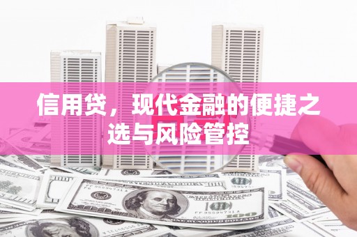 白沙信用贷，现代金融的便捷之选与风险管控