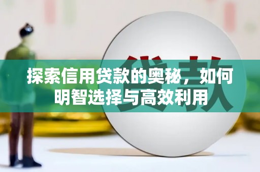 白沙探索信用贷款的奥秘，如何明智选择与高效利用