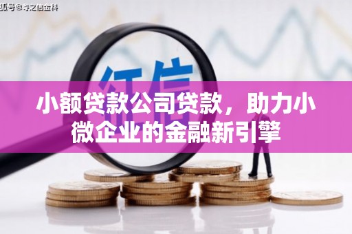 白沙小额贷款公司贷款，助力小微企业的金融新引擎