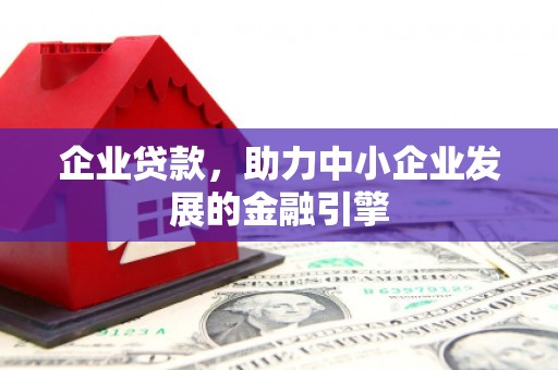 白沙企业贷款，助力中小企业发展的金融引擎