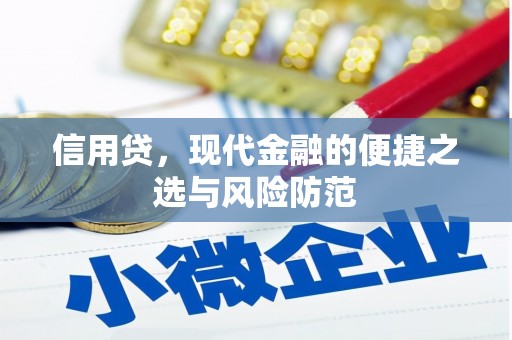 白沙信用贷，现代金融的便捷之选与风险防范