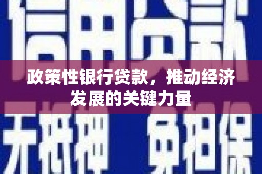 白沙政策性银行贷款，推动经济发展的关键力量
