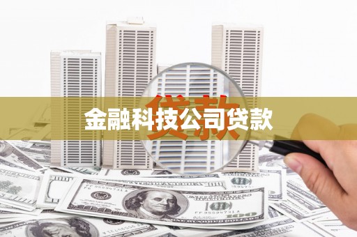 白沙金融科技公司贷款