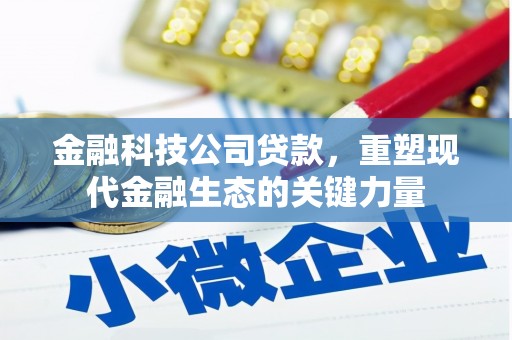 白沙金融科技公司贷款，重塑现代金融生态的关键力量