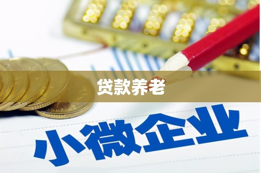白沙贷款养老