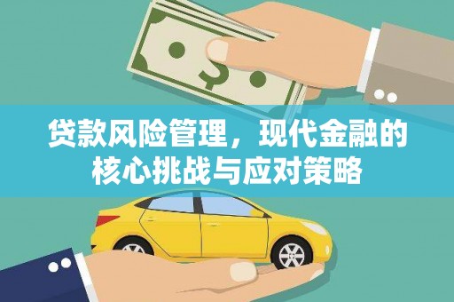 白沙贷款风险管理，现代金融的核心挑战与应对策略