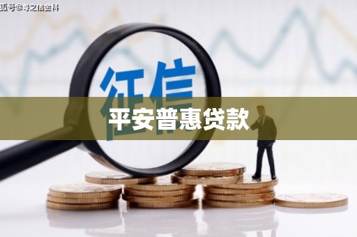 白沙平安普惠贷款