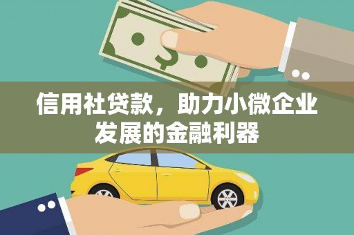 白沙信用社贷款，助力小微企业发展的金融利器