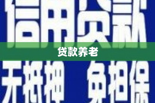 白沙贷款养老