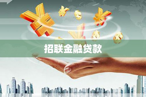 白沙招联金融贷款