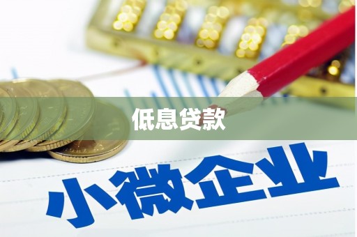 白沙低息贷款