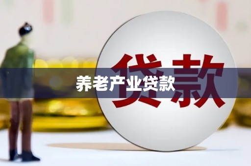 白沙养老产业贷款