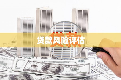 白沙贷款风险评估