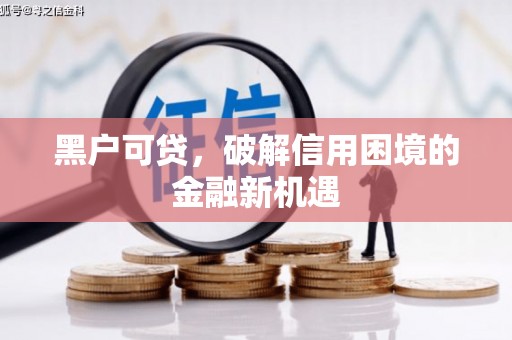 白沙黑户可贷，破解信用困境的金融新机遇