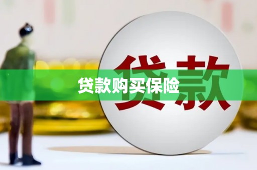 白沙贷款购买保险