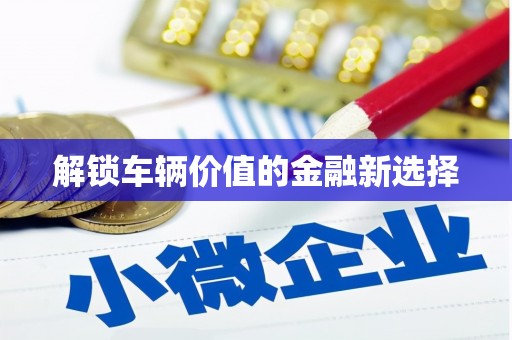 白沙解锁车辆价值的金融新选择