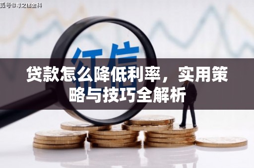 白沙贷款怎么降低利率，实用策略与技巧全解析