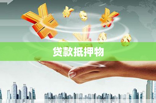 白沙贷款抵押物