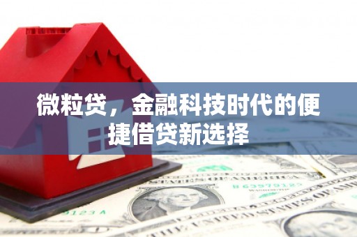 白沙微粒贷，金融科技时代的便捷借贷新选择