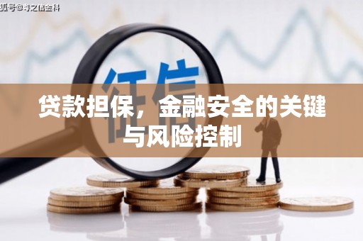 白沙贷款担保，金融安全的关键与风险控制