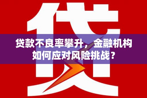 白沙贷款不良率攀升，金融机构如何应对风险挑战？
